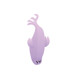 Free Seal Mammal vector and picture