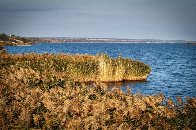 Free Nature Landscape photo and picture