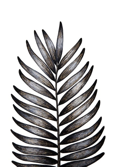 Free leaf nature drawing illustration
