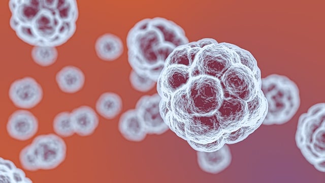 Free Coronavirus Virus illustration and picture