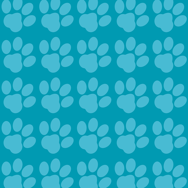 Free vet pet shop footprints vector
