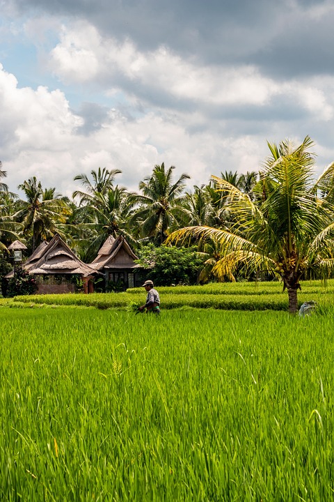 Bali Tropics Indonesia Free Photo On Pixabay