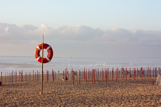 Free Beach Sun photo and picture