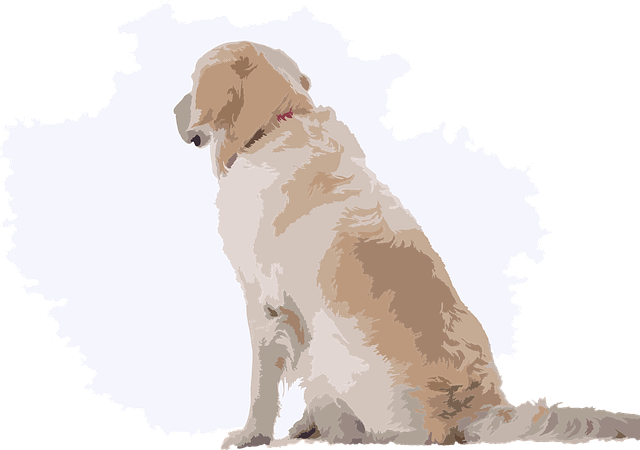 Free dog cute pet vector
