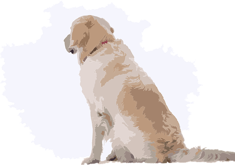Perro, Mascota, Linda, Vista Lejana