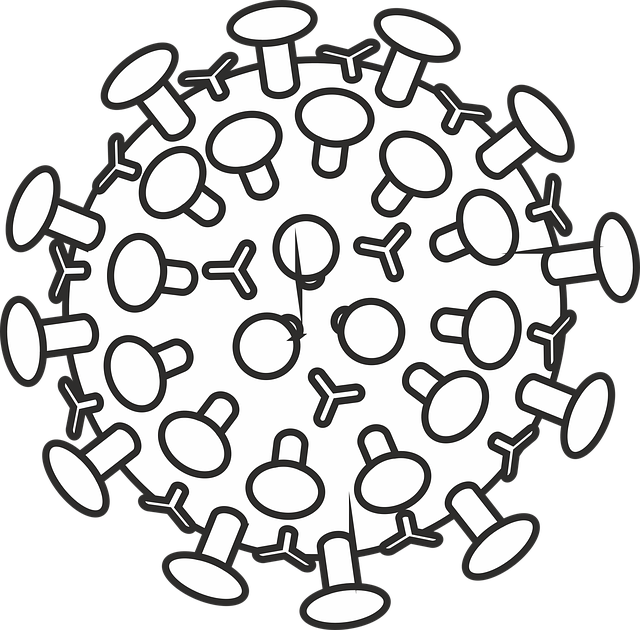 Free corona virus sars-cov-2 vector