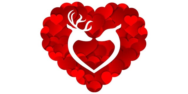 Free reindeer deer animal illustration