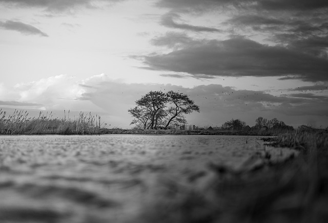 Free Black And White Windows Wallpaper photo and picture