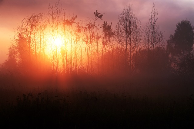 Free The Sun Dawn photo and picture