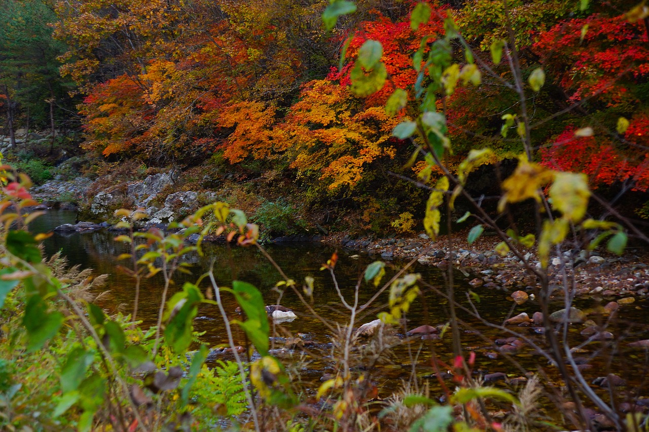 Autumn - free online jigsaw puzzle photo
