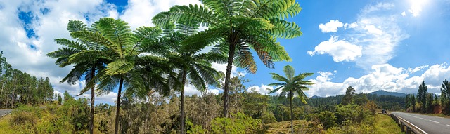 Panoramiske, Landskab, Natur, Himmel