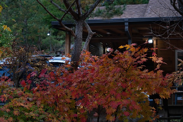 Free Autumn Lamp photo and picture