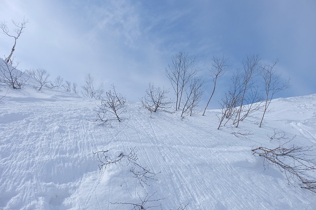 Sneeuw, Hokkaido, Winter, Koud