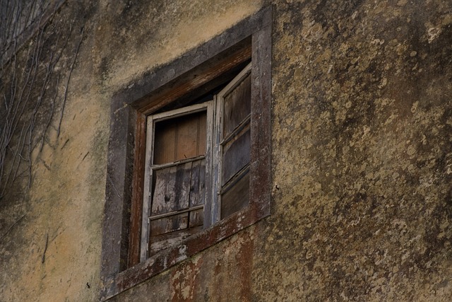 Free Window Sintra photo and picture