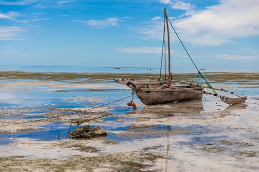 Free Zanzibar Boat photo and picture