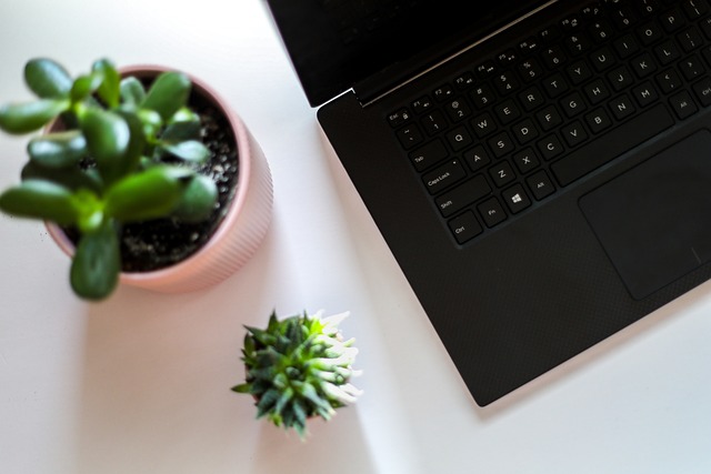 laptop, plant, desk, notebook, tech, computer, table, office, work, programmer, business, coffee, website, technology, pen, creative, life, paper, placeholder, succulent, cactus, nature, green, botanical, leaves, home