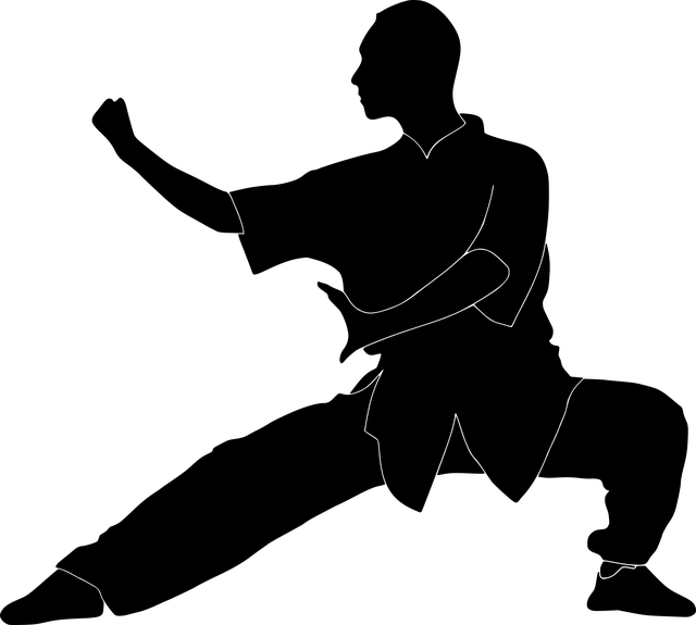 Free silhouette kung fu wushu vector