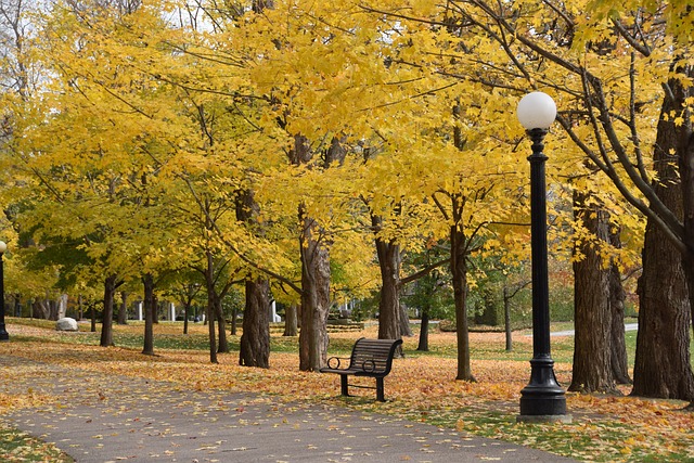 Free Autumn Park photo and picture