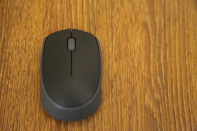 Free Black Mouse photo and picture