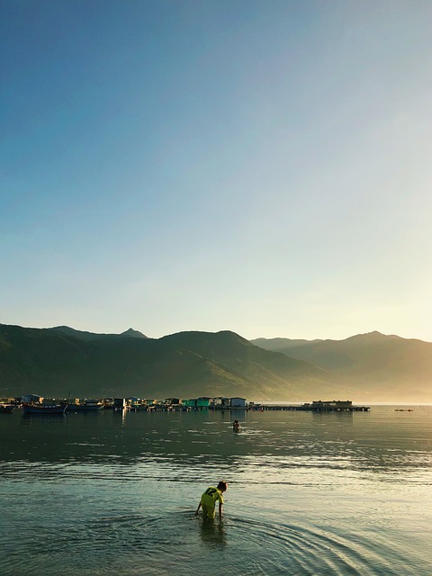 Free Beach Sunset photo and picture