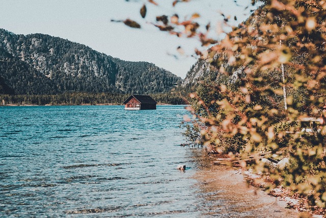 Free Lake Water photo and picture