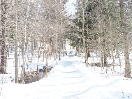 Free Path Winter photo and picture