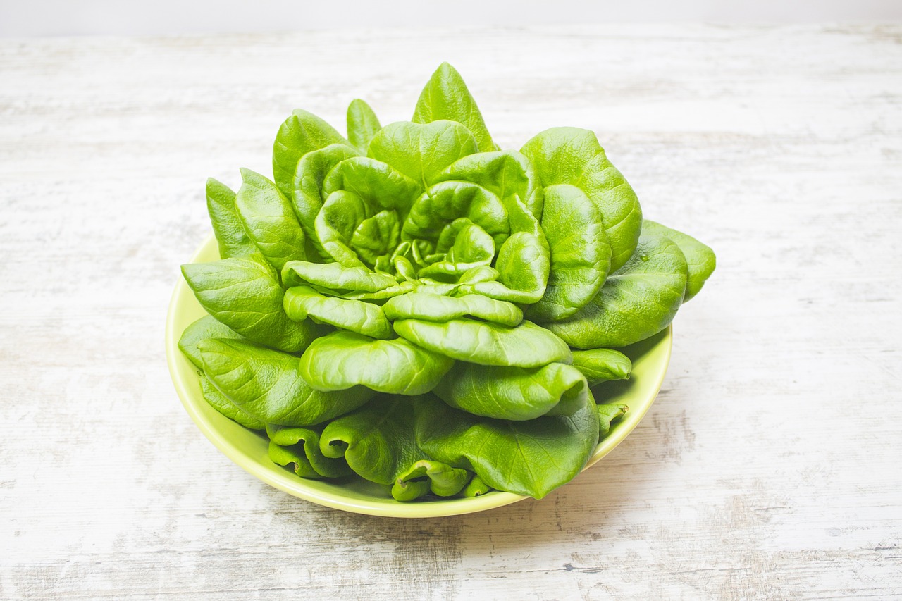 Salade Verte Vert - Photo gratuite sur Pixabay - Pixabay