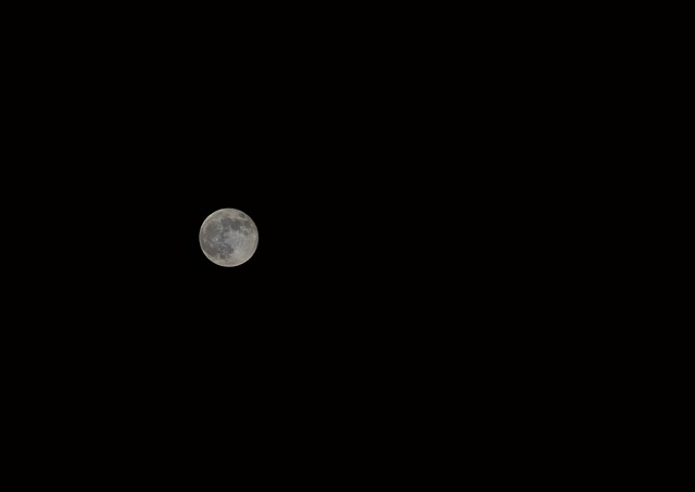 Free Moon Night photo and picture