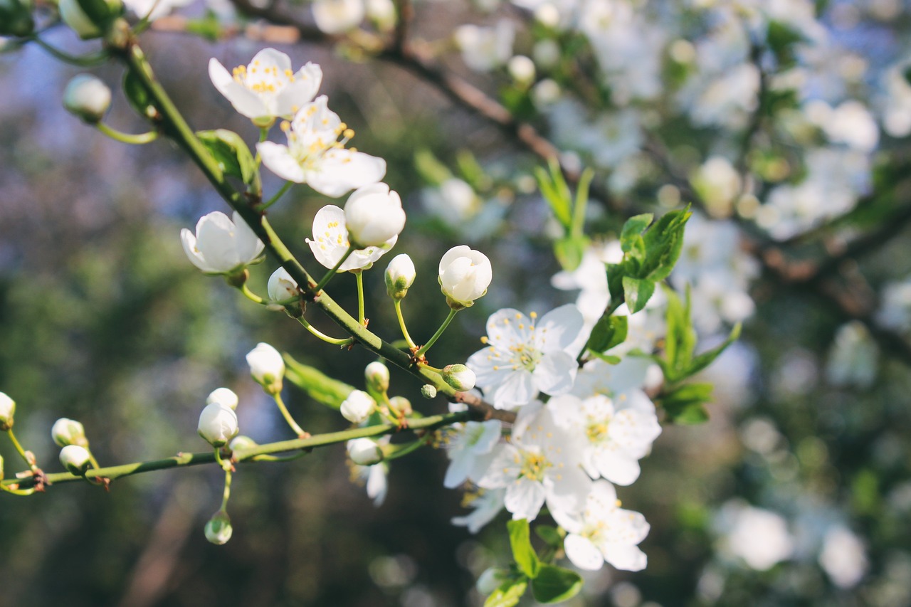 Jar - free online jigsaw puzzle photo