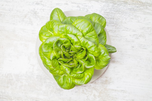 Salade, Groente, Rood, Lactuca Sativa