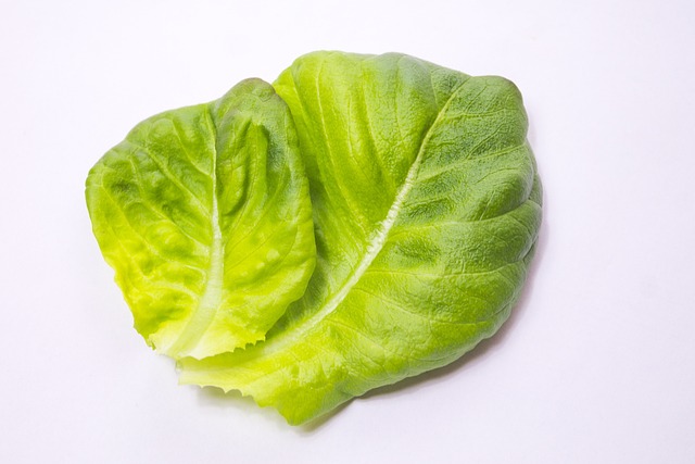 Salade, Groente, Rood, Lactuca Sativa