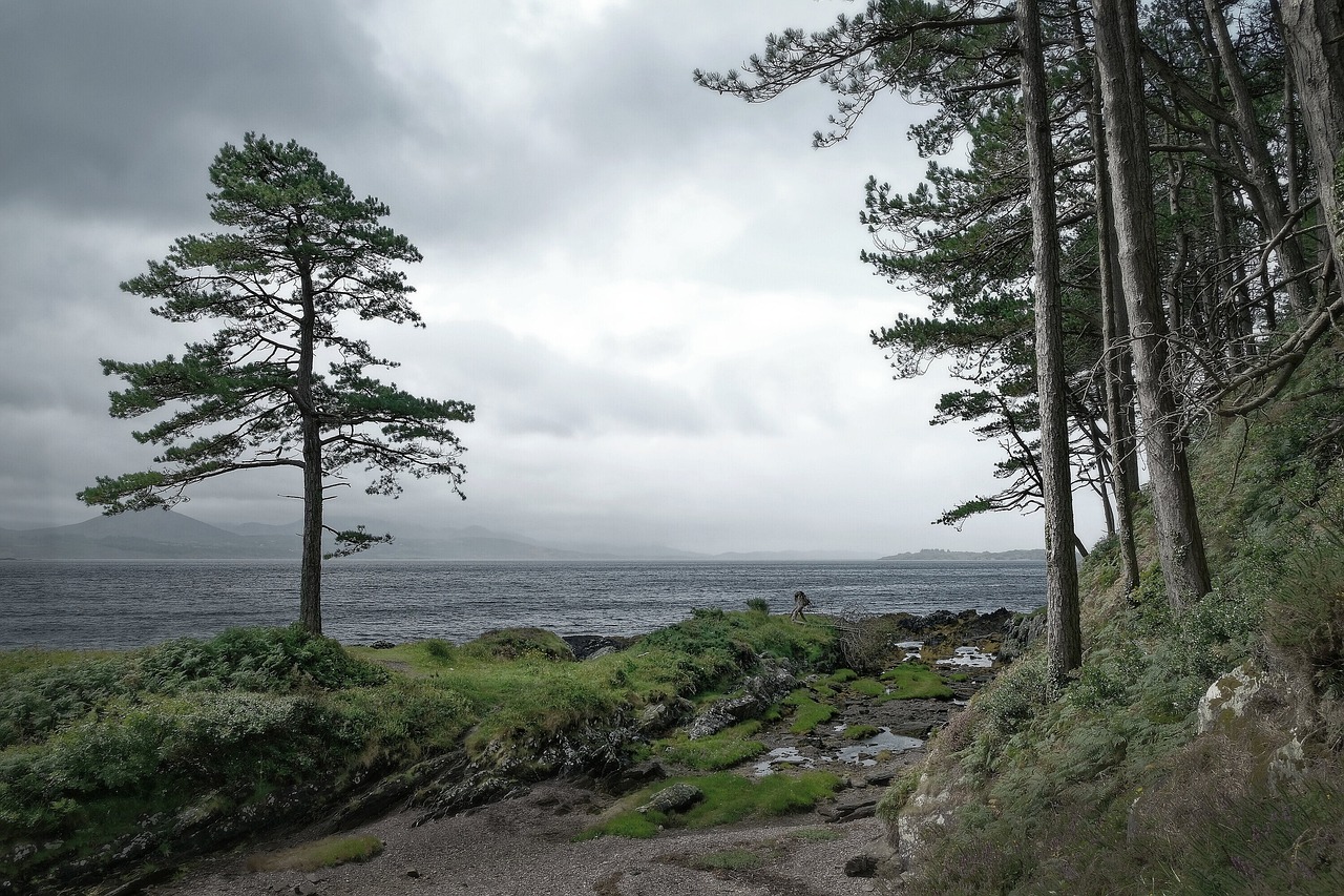 Ring Of Kerry - free online jigsaw puzzle photo