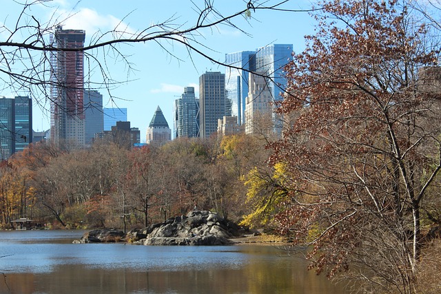 Free New York New York City photo and picture
