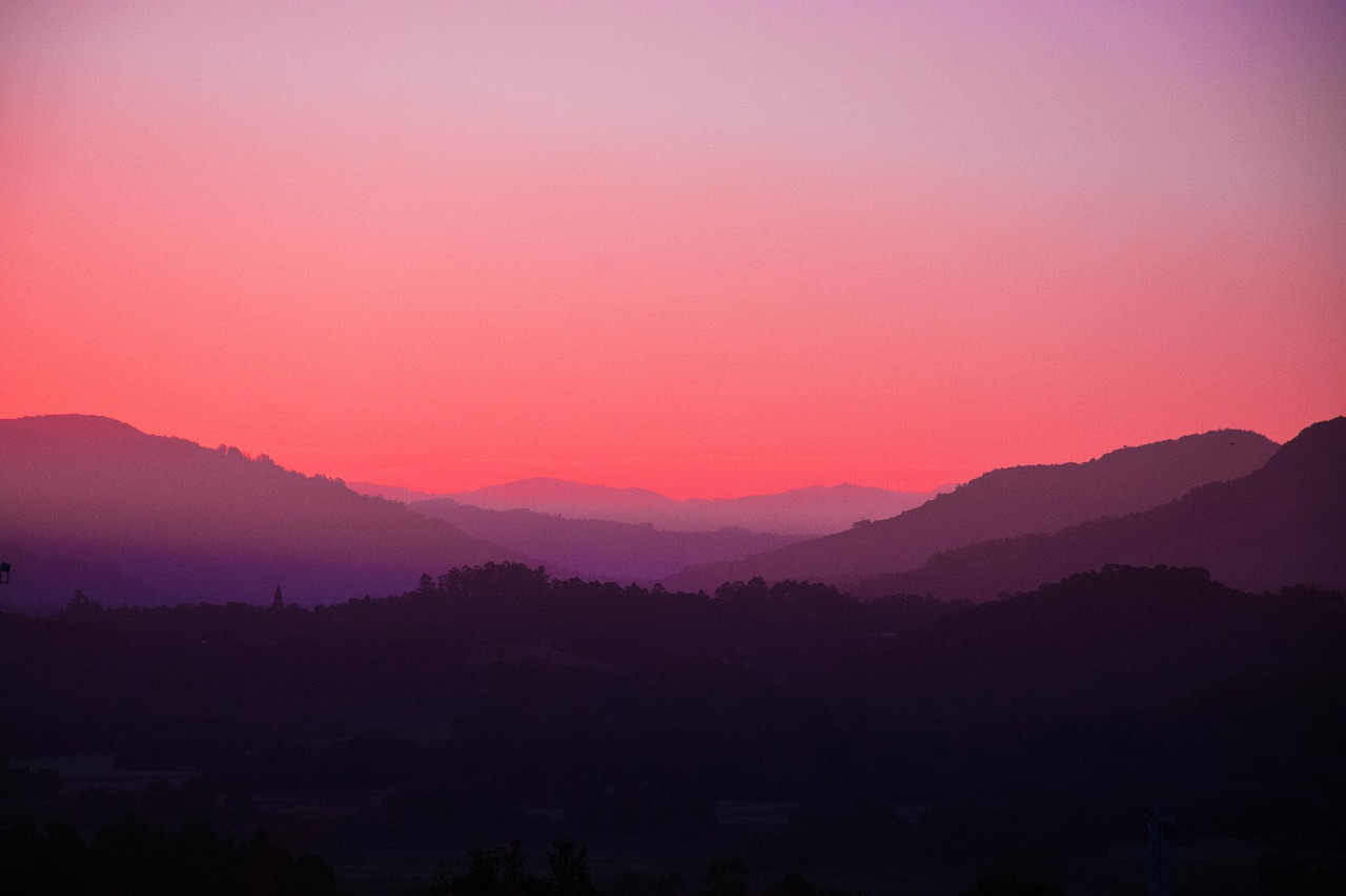 Pink - free online jigsaw puzzle photo