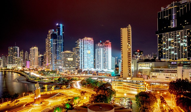 Free Night Skyline photo and picture