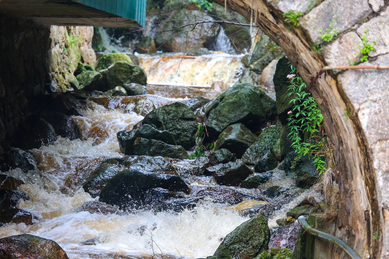 Water Mountain Stream Stones - Free photo on Pixabay