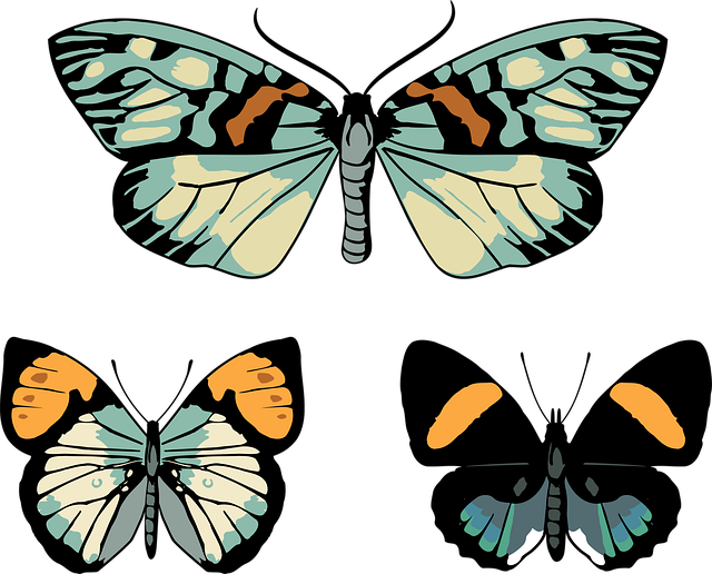 Borboletas, Vintage, Borboleta, Mariposa