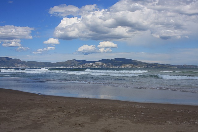 Free Beach Sea photo and picture