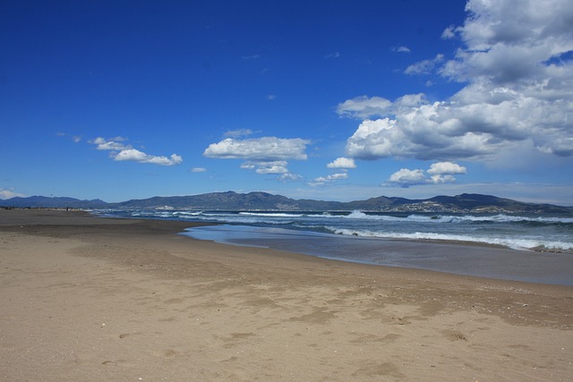 Free Beach Sea photo and picture