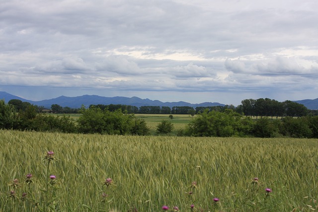 Free Landscape Fields photo and picture