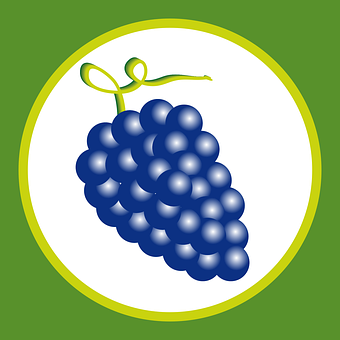 Free Grapes Wine vector and picture