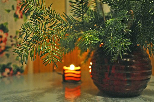 Ель, Свеча, Новый Год, Новогодний Декор