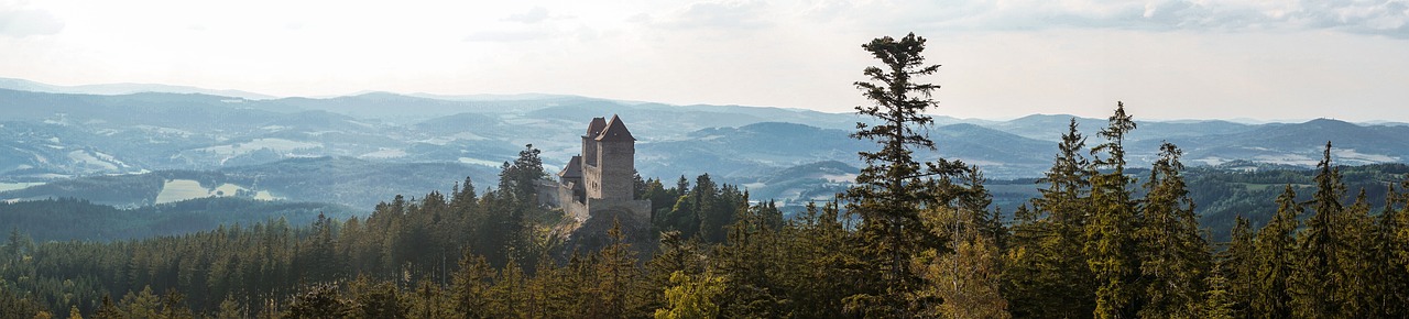 Roost - free online jigsaw puzzle photo