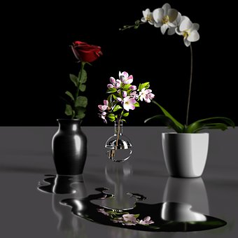 Blumen, Wasser, Blumen Hintergrund