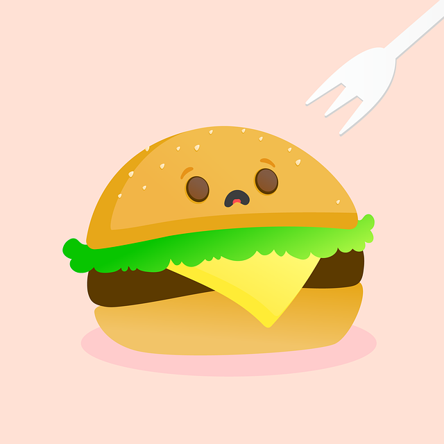 Free burger hamburger food illustration