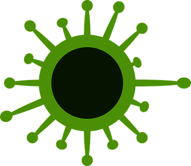Virus, Infecţie, Bacterie