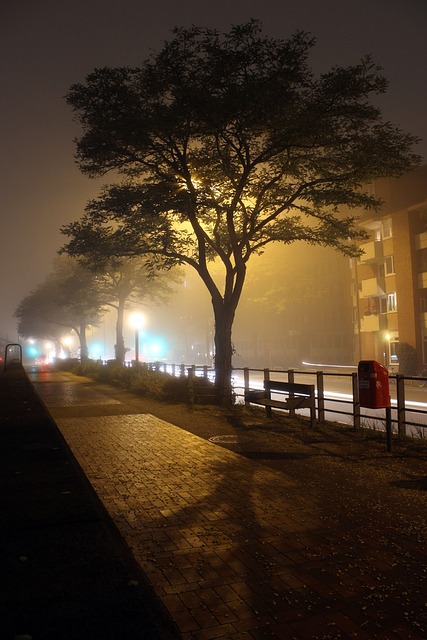 Free Fog Long Time Exposure photo and picture