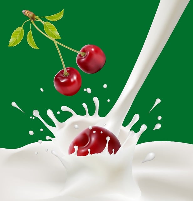Free Berries Cherry vector and picture