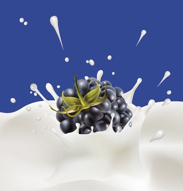 Free Blackberry Berry vector and picture