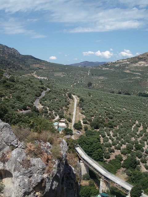 Free Spain Andalusia photo and picture
